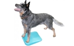 FitPAWS® Ramp