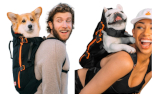 MAXINE ONE Hunderucksack, Bark After Dark Schwarz